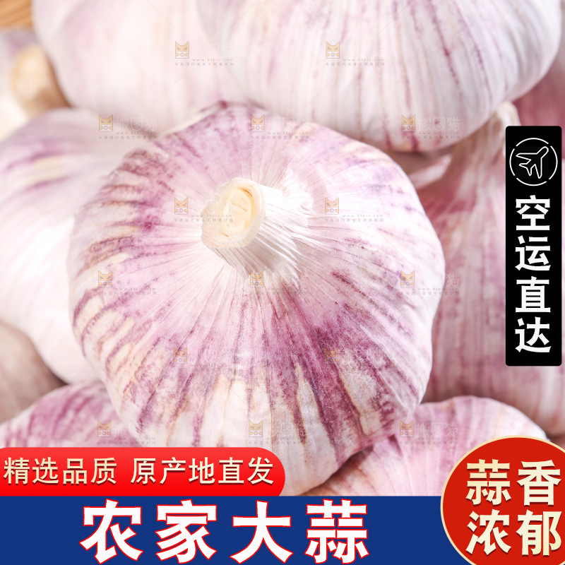 深底上的干大蒜