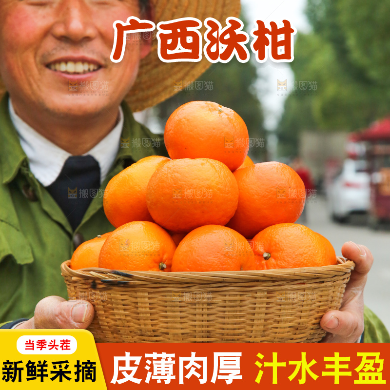 手里拿着武鸣沃柑