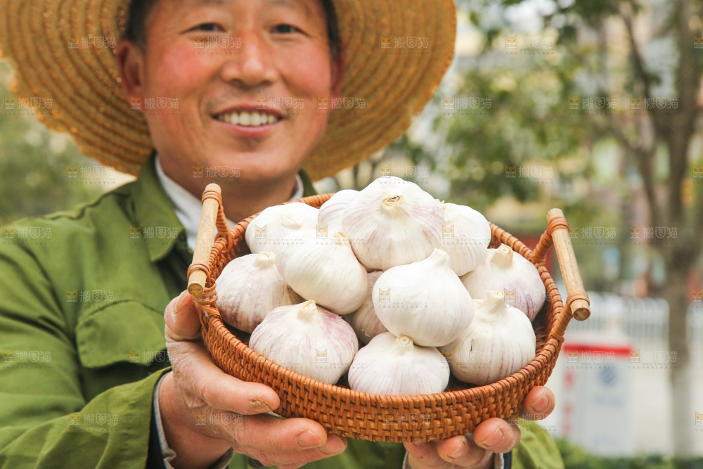 手里拿着干大蒜