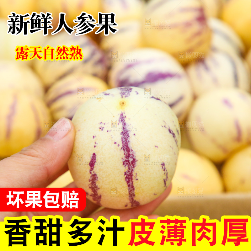 手里拿着人参果