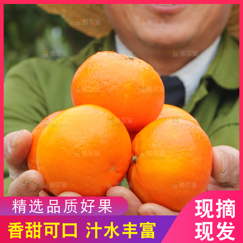 手里拿着武鸣沃柑