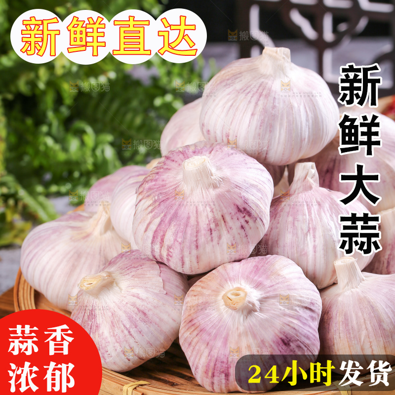 深底上的干大蒜