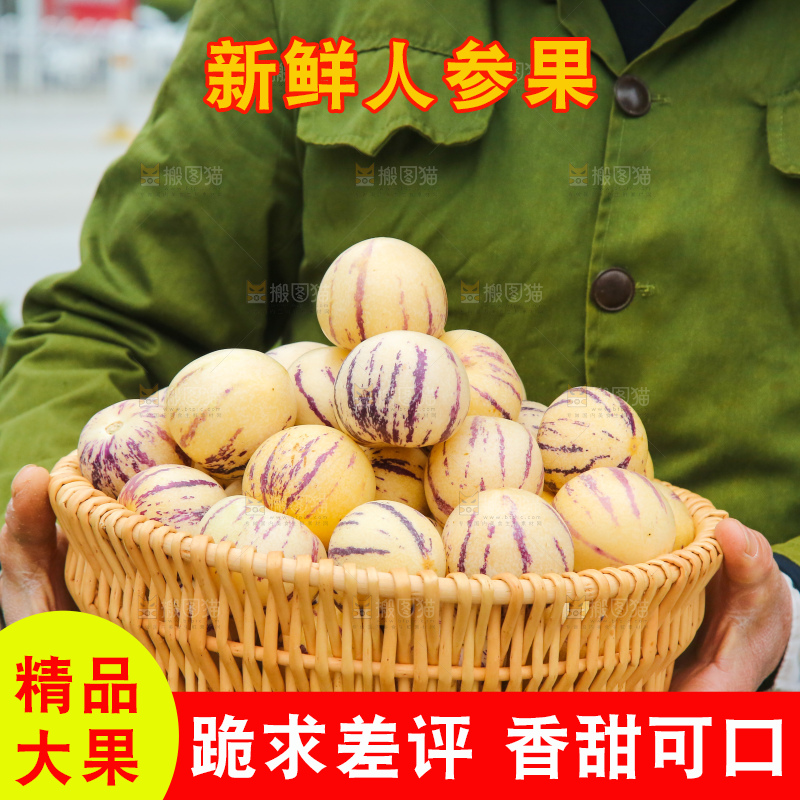 手里拿着人参果