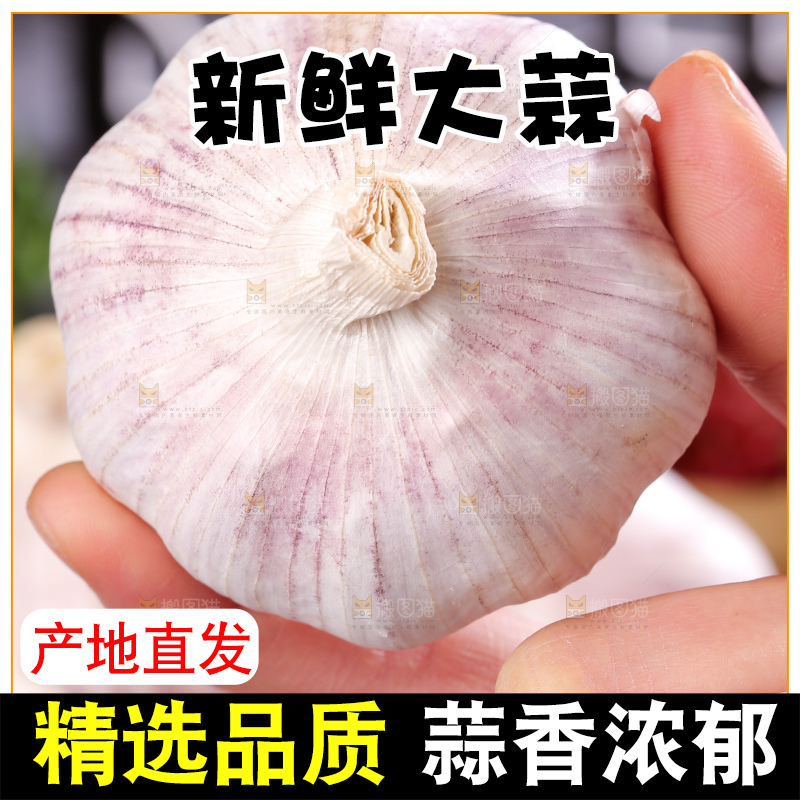 深底上的干大蒜
