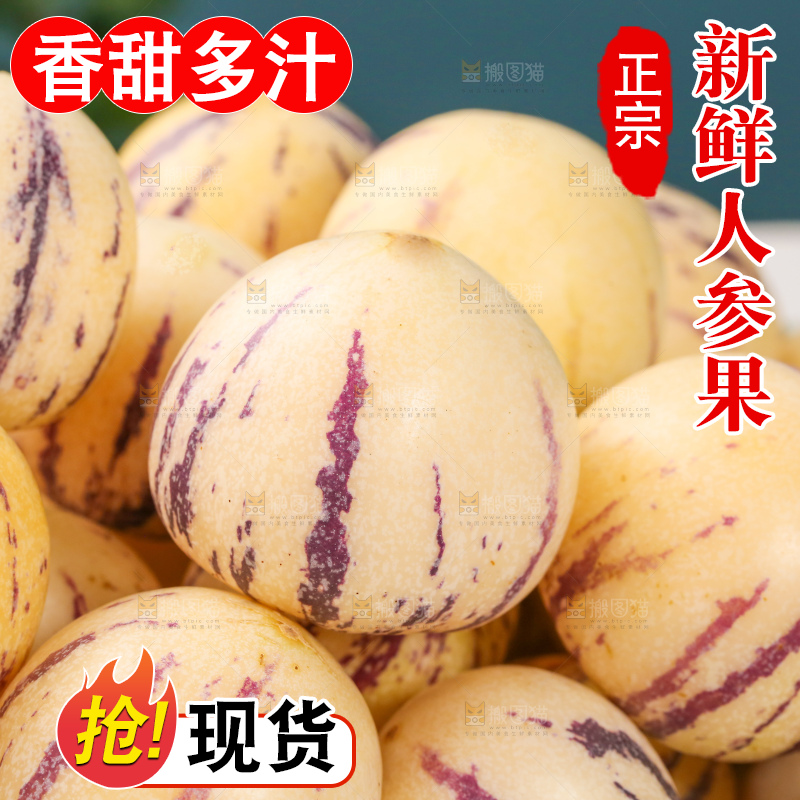 浅底上的人参果