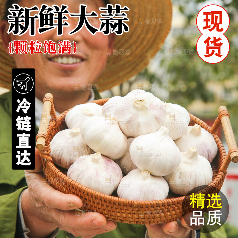 手里拿着干大蒜
