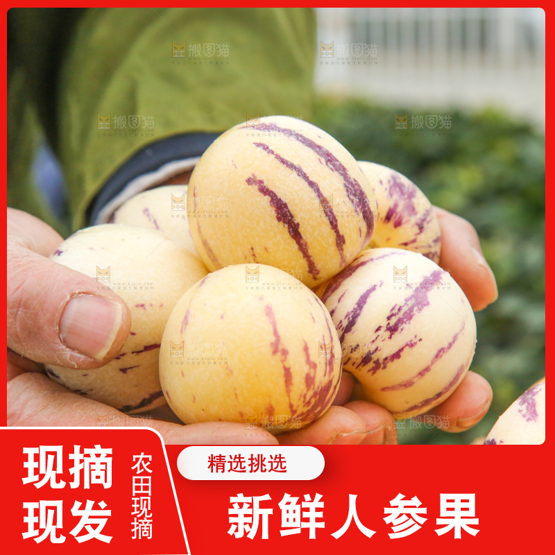 手里拿着人参果