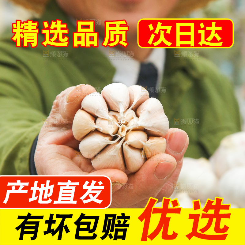 手里拿着干大蒜