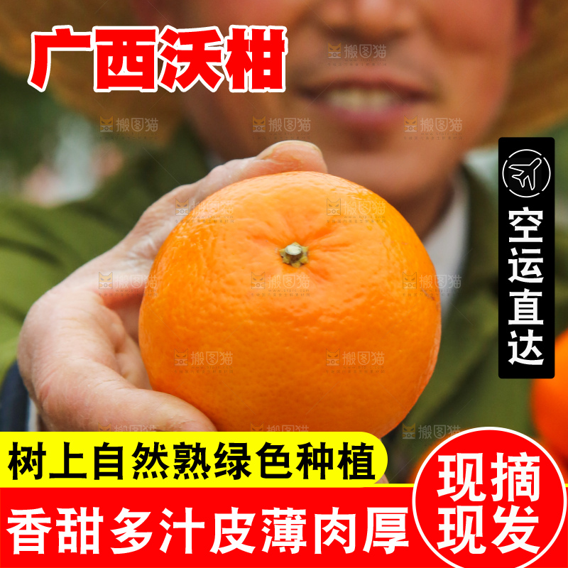 手里拿着武鸣沃柑
