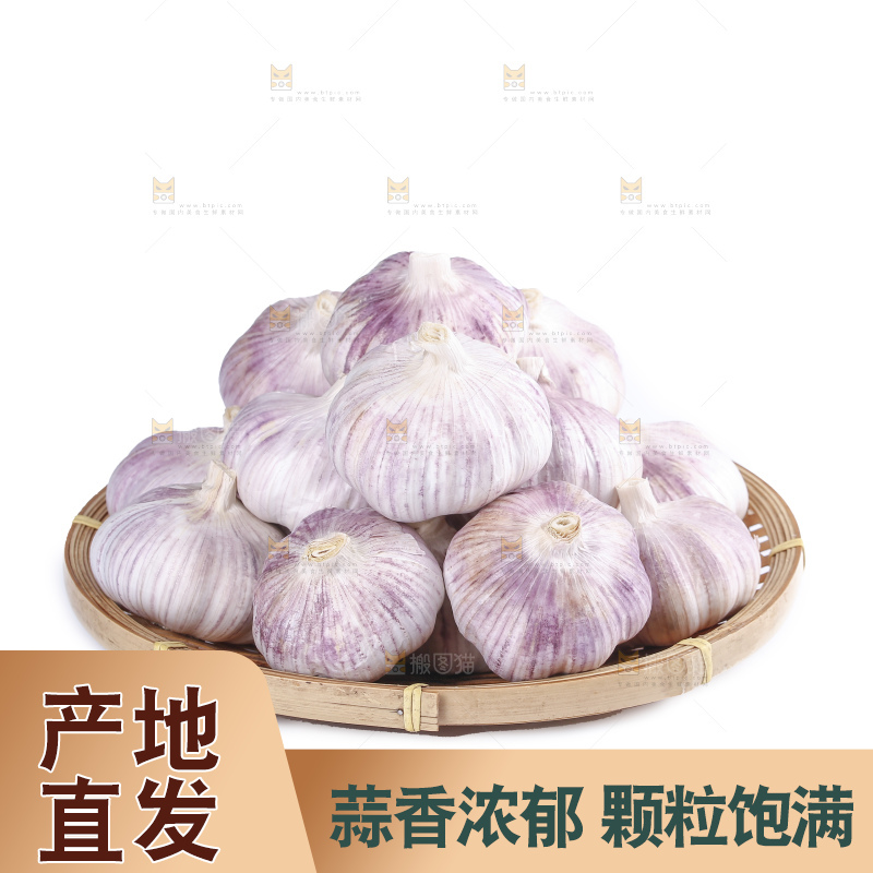 白底上的干蒜