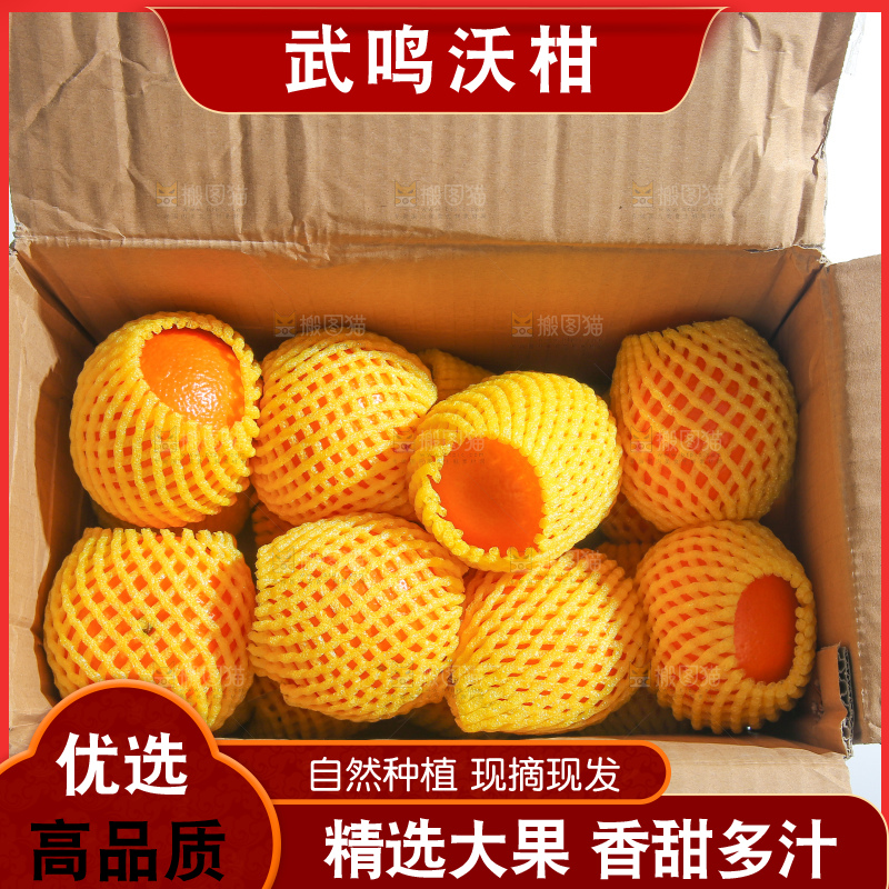 手里拿着武鸣沃柑