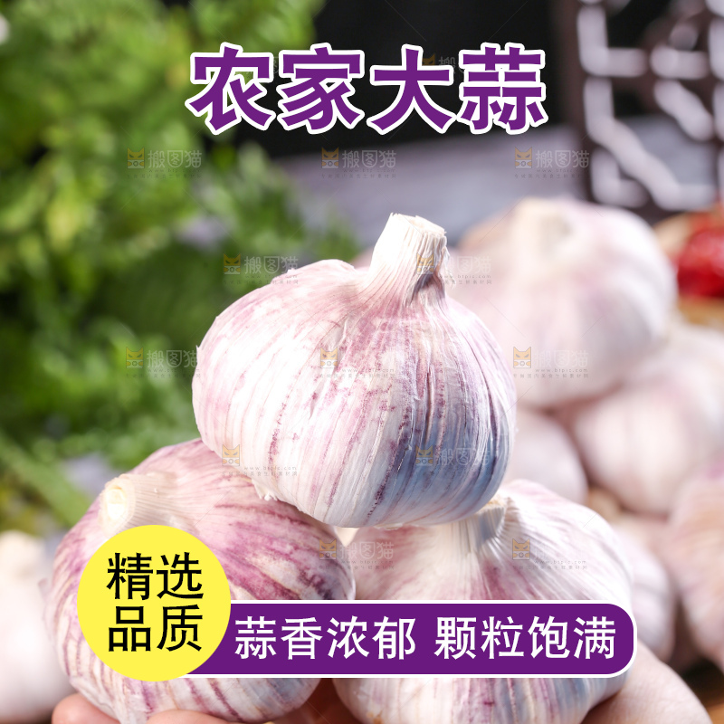 深底上的干大蒜