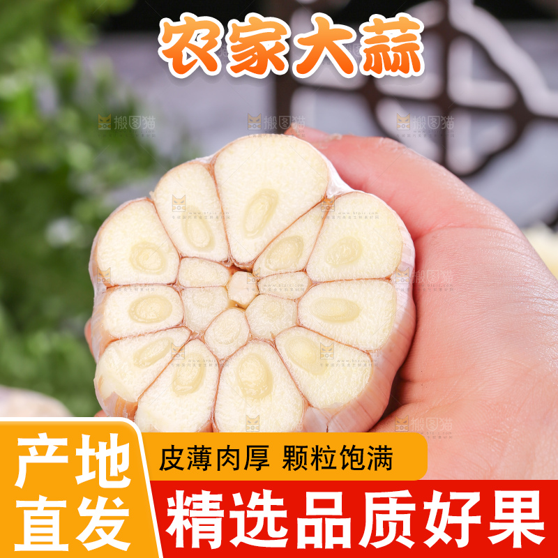 深底上的干大蒜