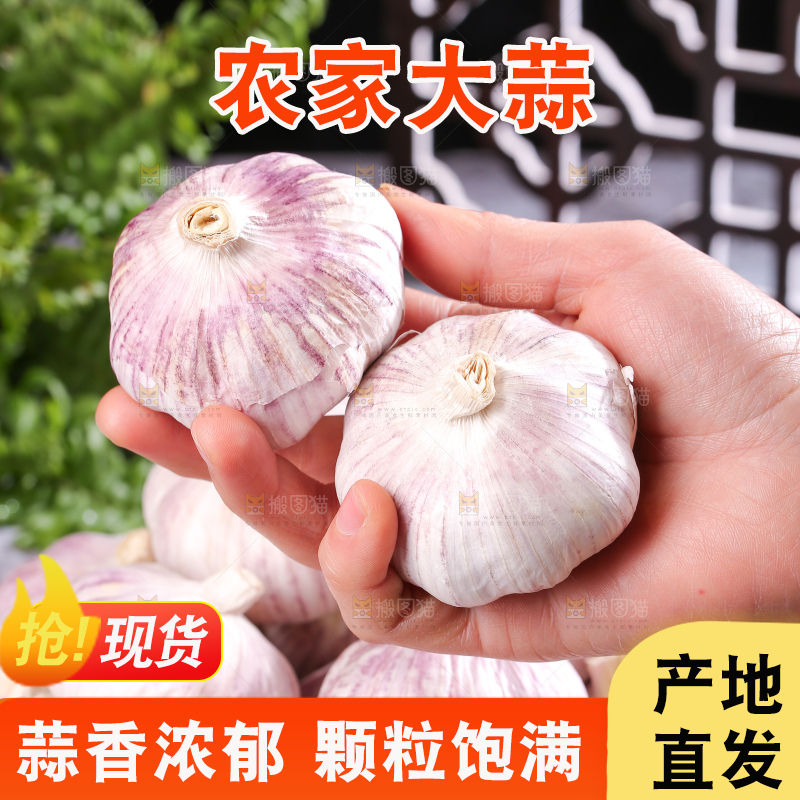 深底上的干大蒜