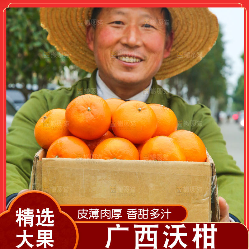 手里拿着武鸣沃柑