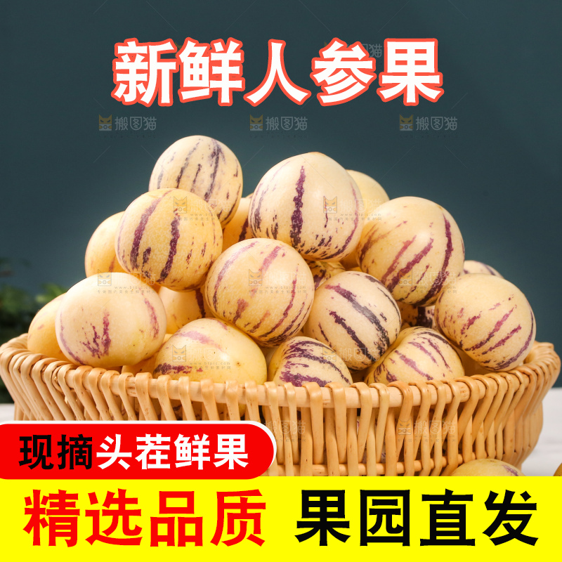 浅底上的人参果