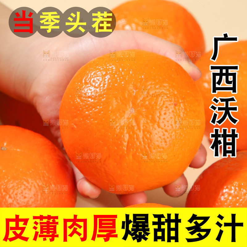 浅底上的武鸣沃柑