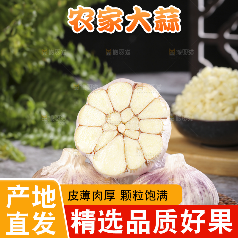 深底上的干大蒜