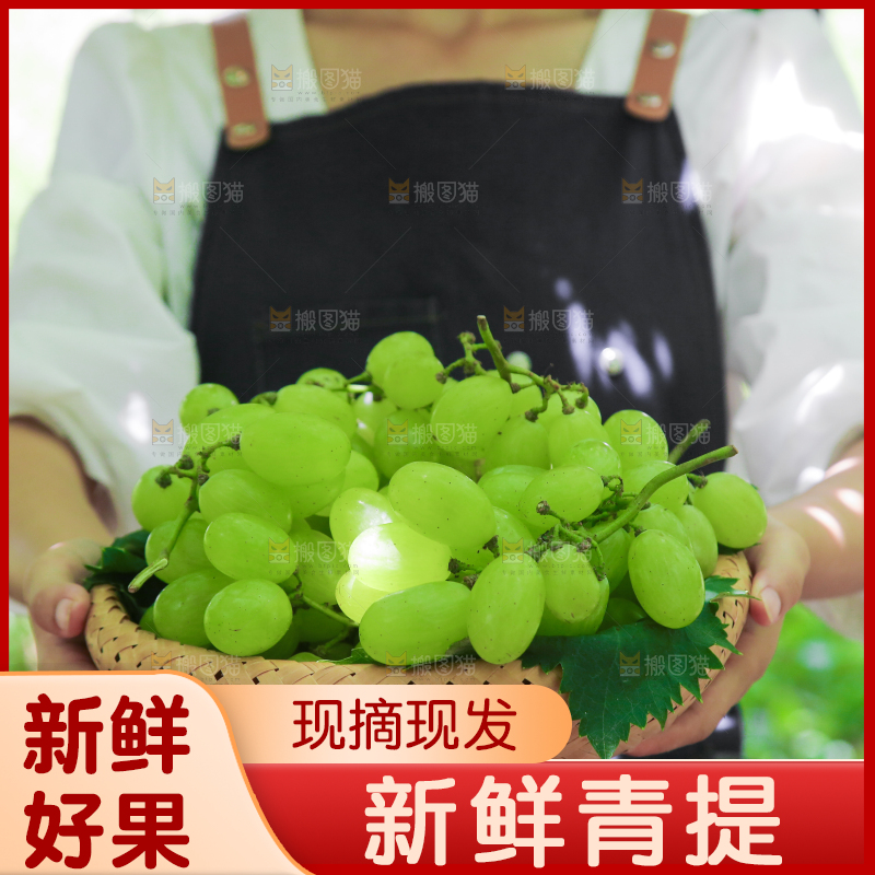 手里拿着青提