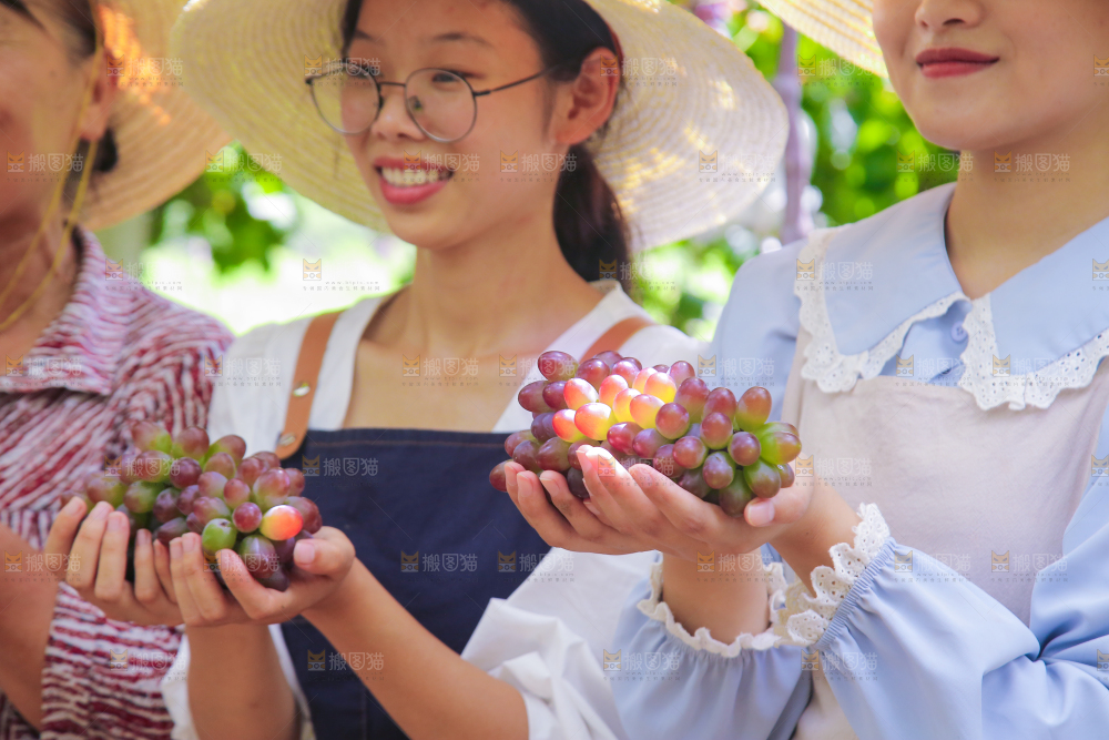 手里拿着茉莉香葡萄