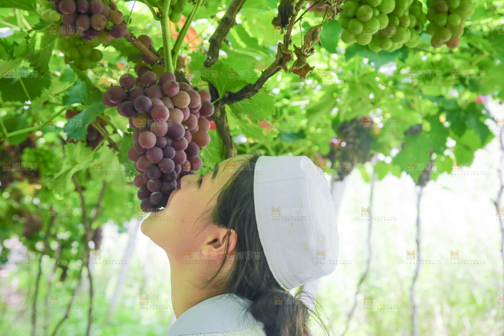 手里拿着新鲜紫葡萄