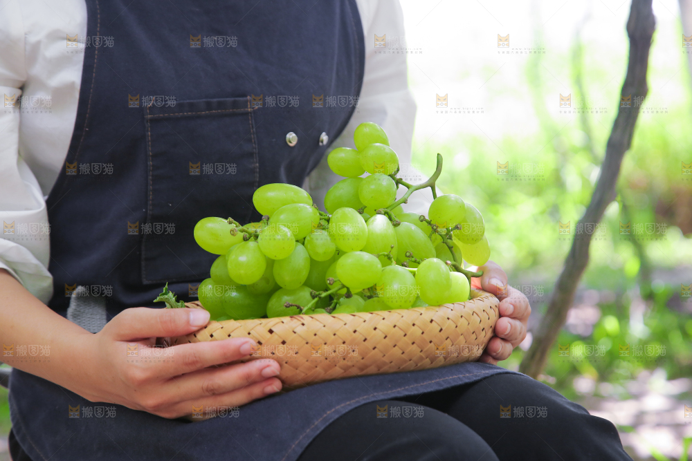 手里拿着青提