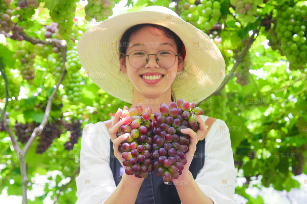 手里拿着茉莉香葡萄