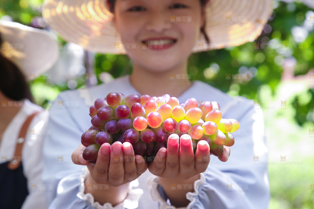 手里拿着茉莉香葡萄
