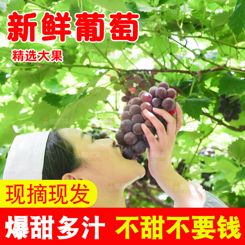 手里拿着新鲜紫葡萄
