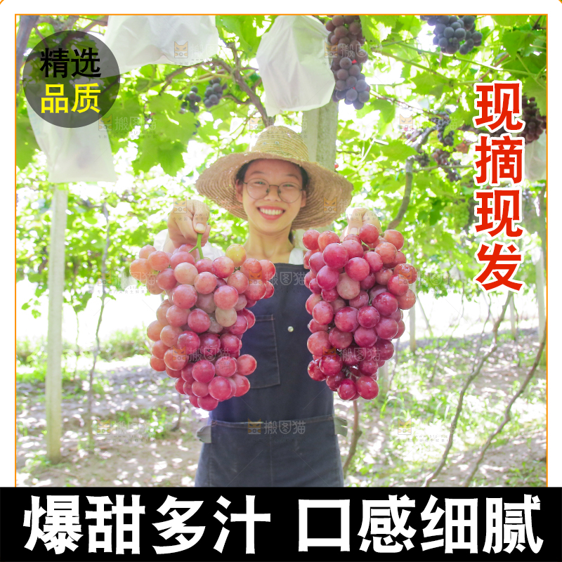 手里拿着新鲜葡萄