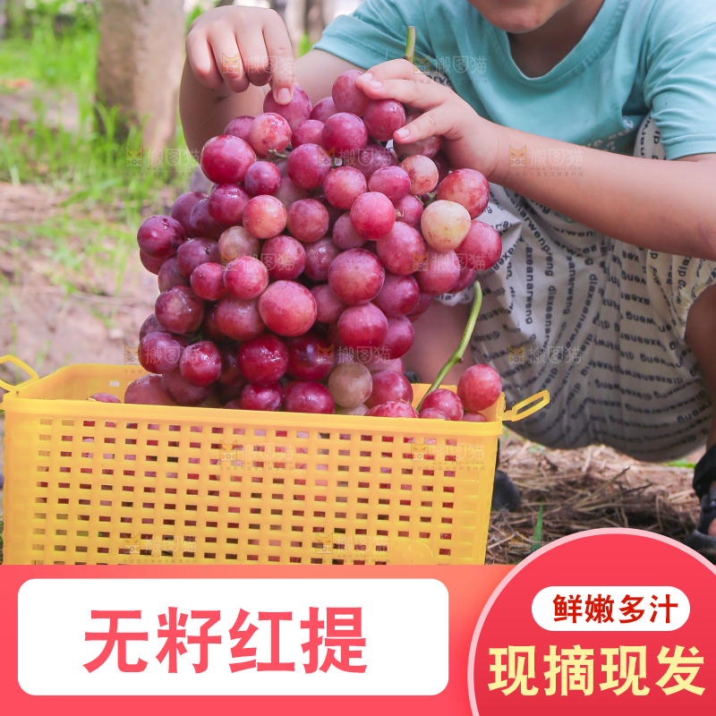 手里拿着新鲜葡萄