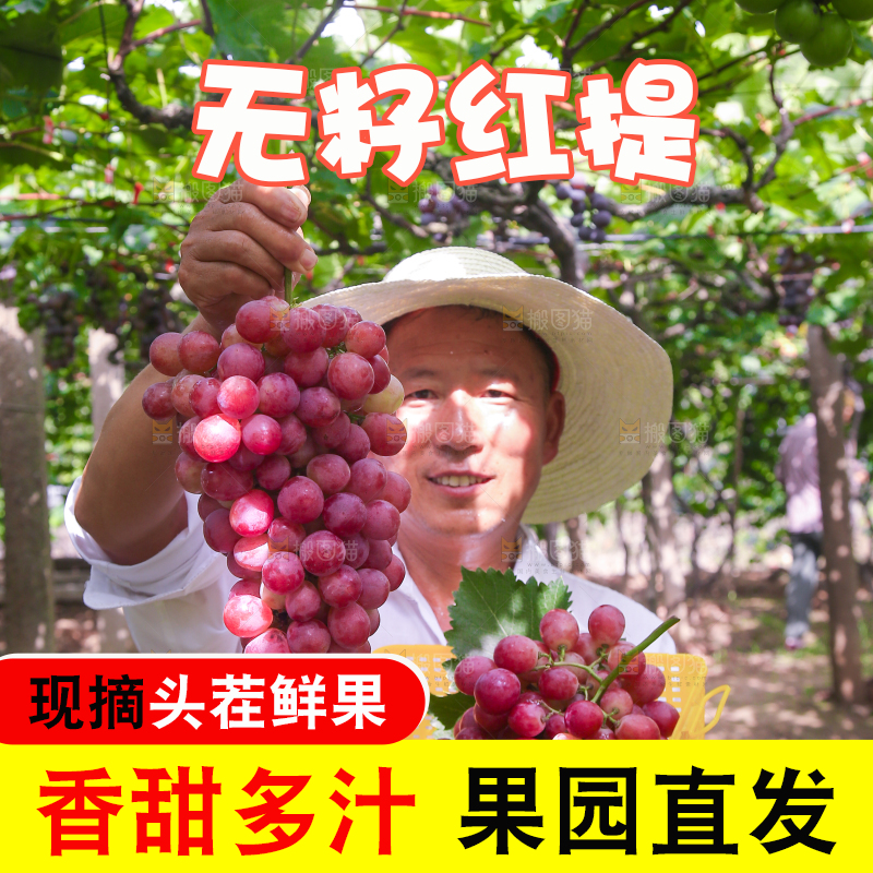 手里拿着新鲜葡萄