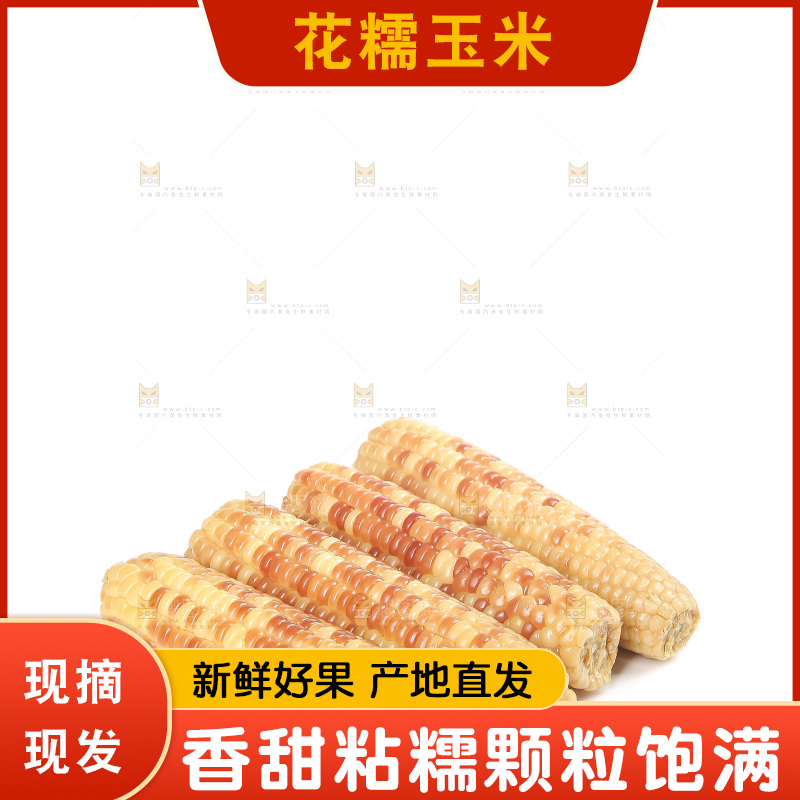 白底上的花糯玉米