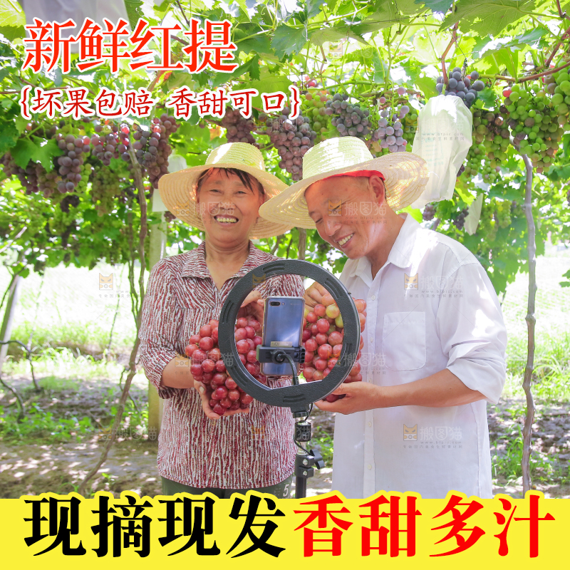 手里拿着新鲜葡萄