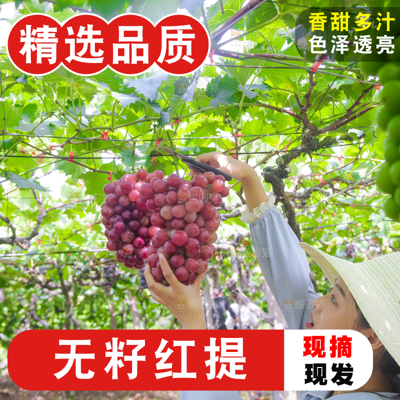 手里拿着新鲜葡萄