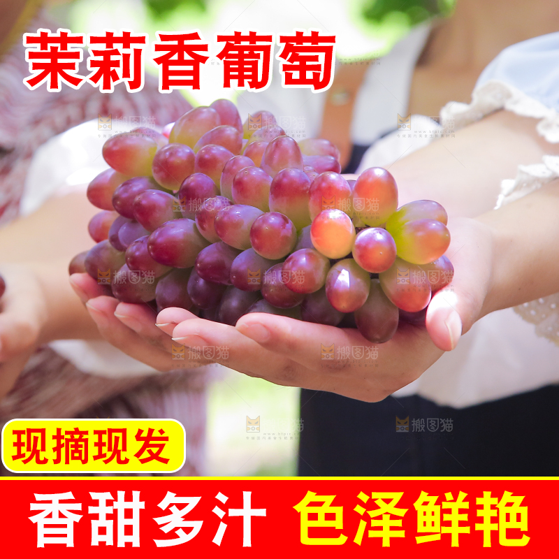 手里拿着茉莉香葡萄