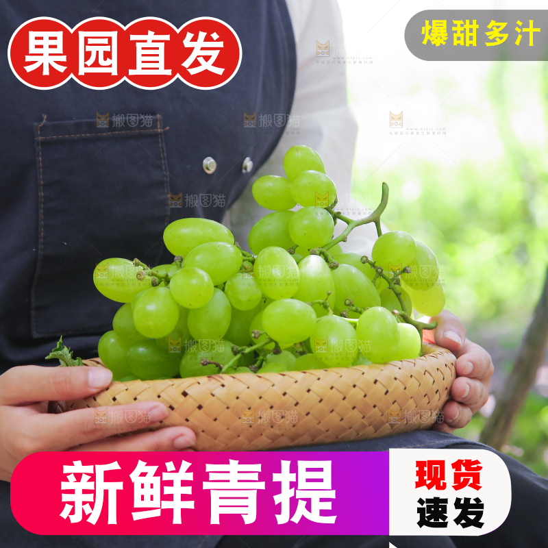手里拿着青提
