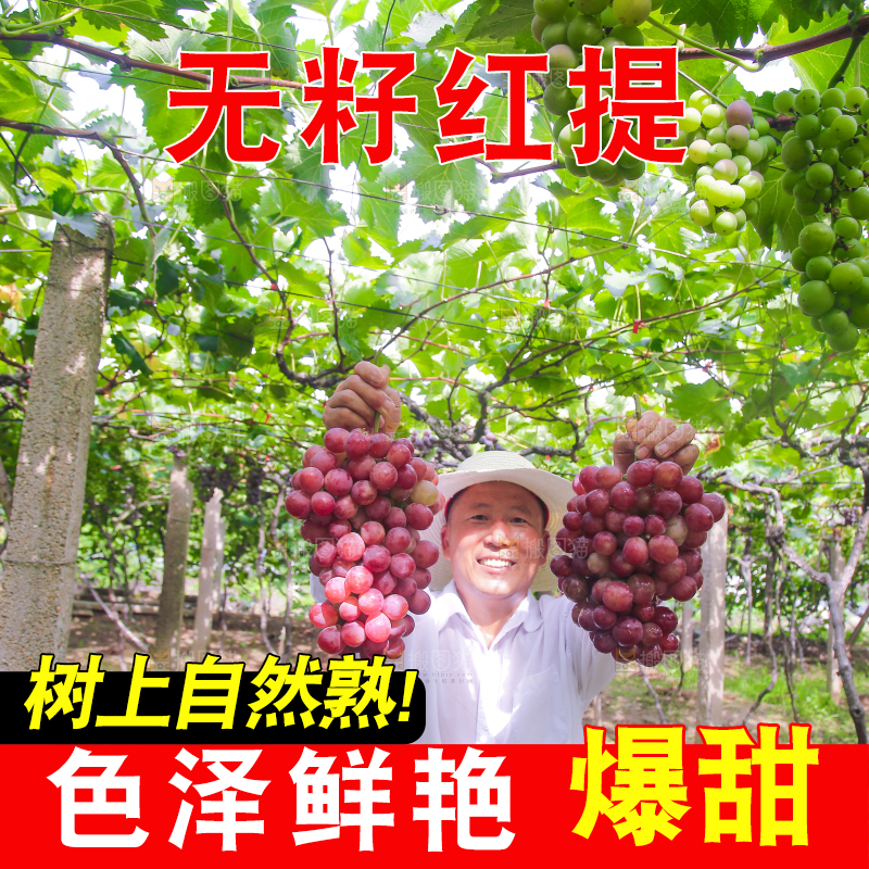 手里拿着新鲜葡萄