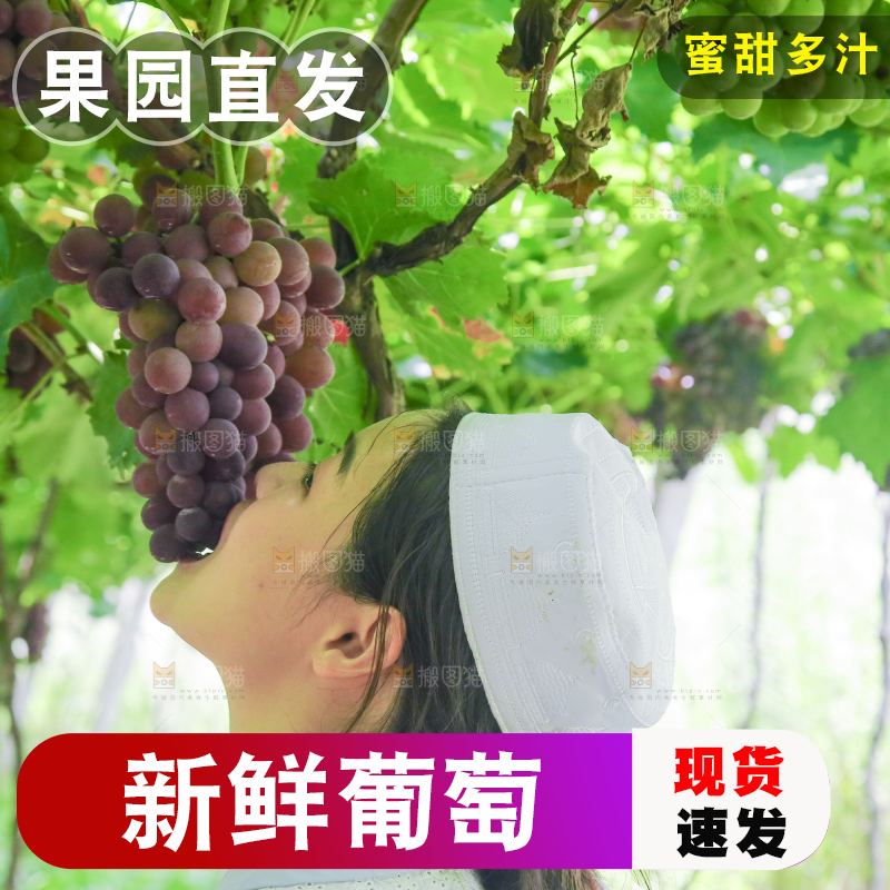 手里拿着新鲜紫葡萄