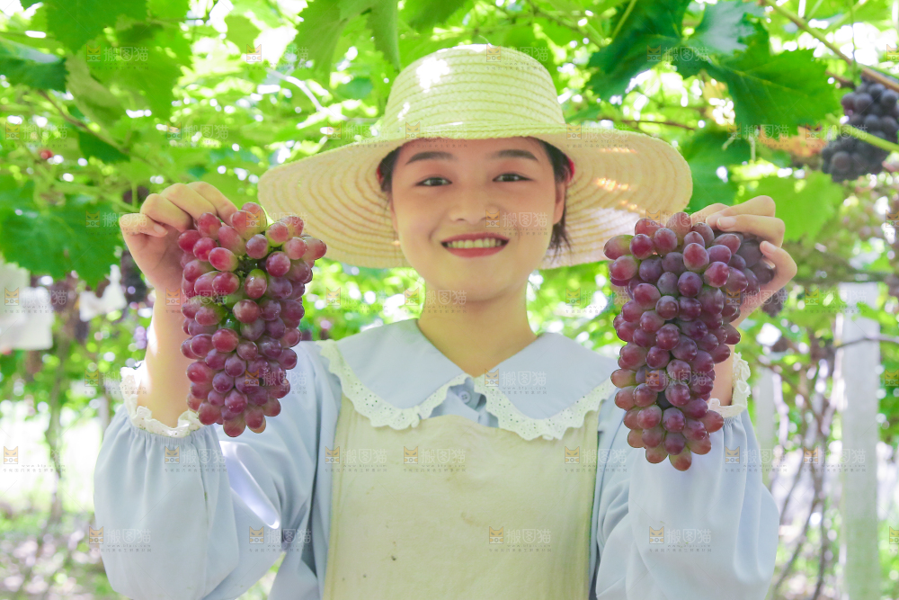 手里拿着茉莉香葡萄