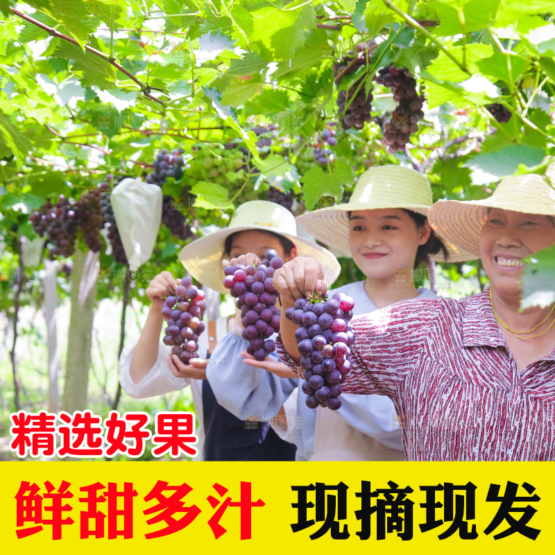手里拿着新鲜葡萄