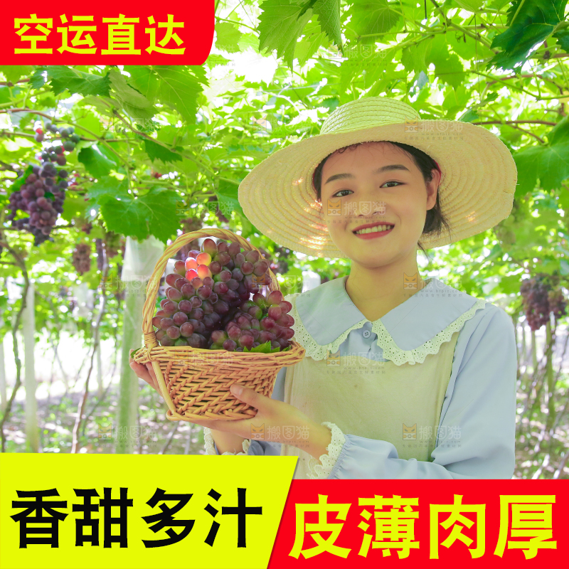 手里拿着茉莉香葡萄