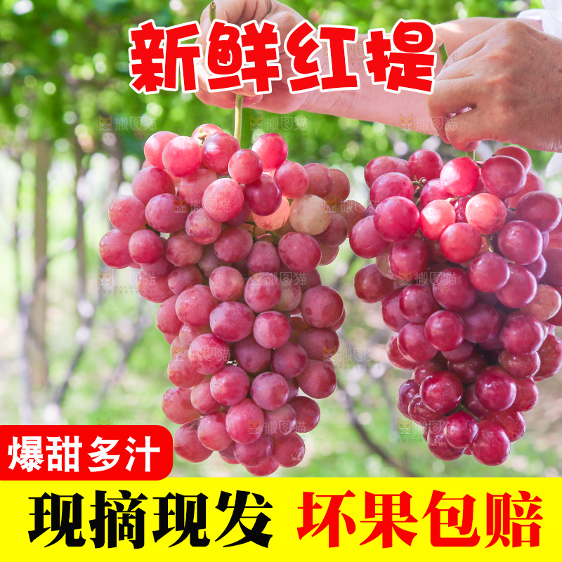 手里拿着新鲜葡萄