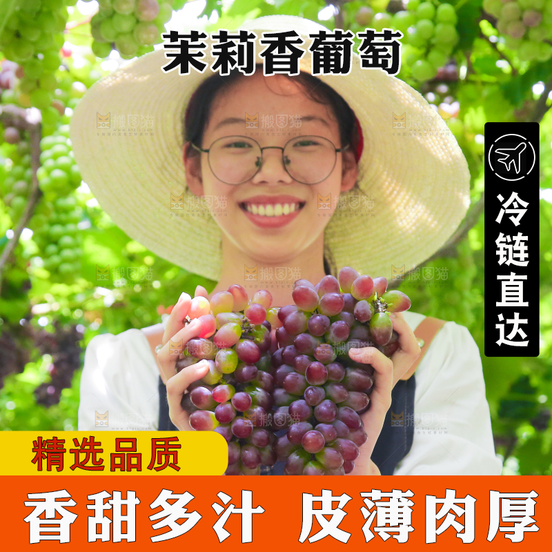 手里拿着茉莉香葡萄