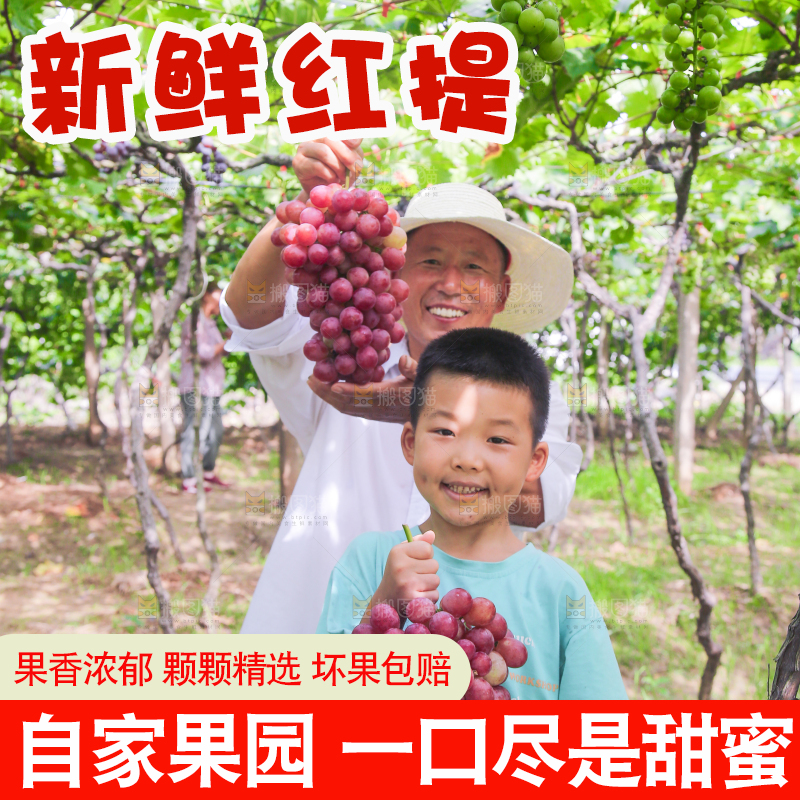 手里拿着新鲜葡萄