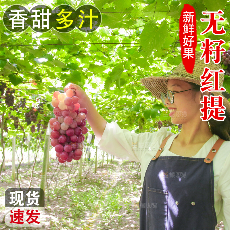 手里拿着新鲜葡萄