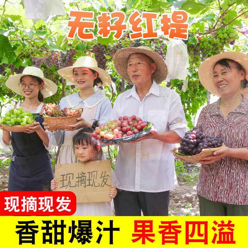 手里拿着新鲜葡萄