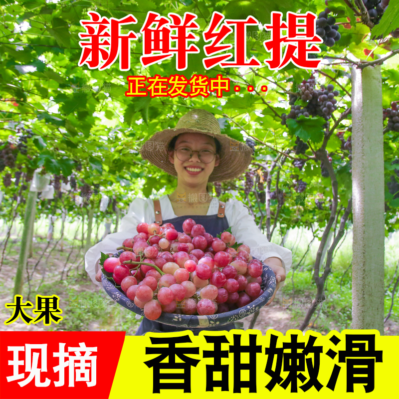 手里拿着新鲜葡萄