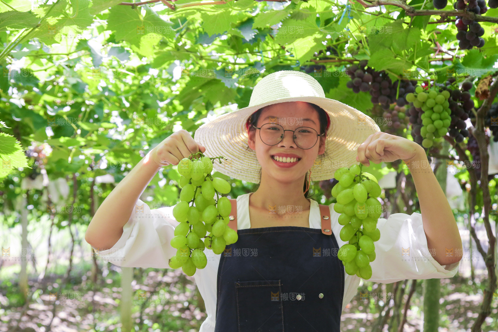 手里拿着青提