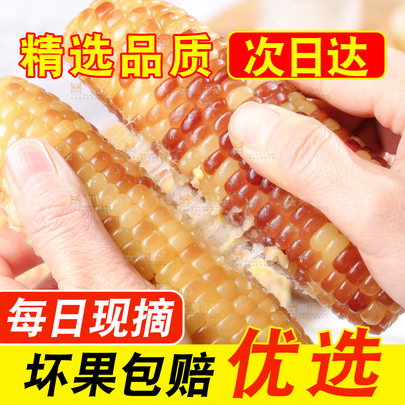 浅底上的花糯玉米